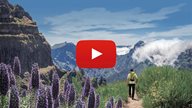 Video Thumbnail Ausflugstipps Madeira