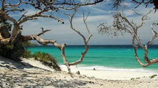 Naturbelassener korsischer Sandstrand mit weißem Sand und türkisem Meer