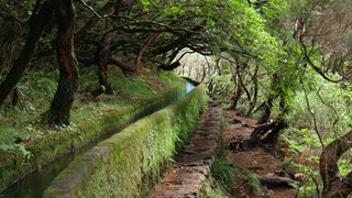 EIn Wanderweg auf Madeira