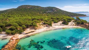 Neben dem türkisblauen Wasser von dem Palombaggia Strand in Korsika erstrecken sich hohe Gebirge