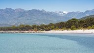 Strand von Calvi mit Bergkulisse